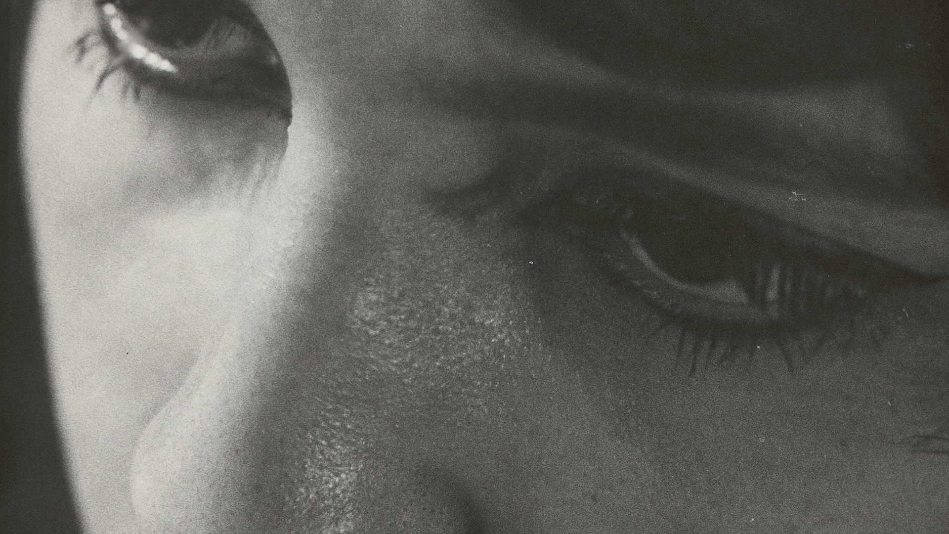 Sanatçıların Sineması5